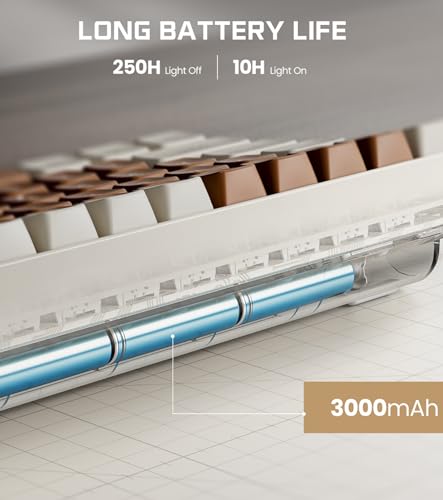 RoyalAxe R100 Tri-Mode Wireless Mechanical Keyboard