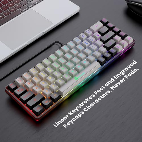 Compact 65% Backlit Gaming Keyboard for PC/Mac