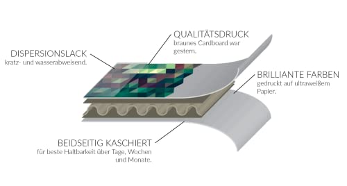 Google Cardboard VR Viewer with Head Strap and Cushion