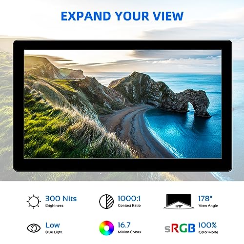 10.1" Portable Touch Screen Monitor with Kickstand