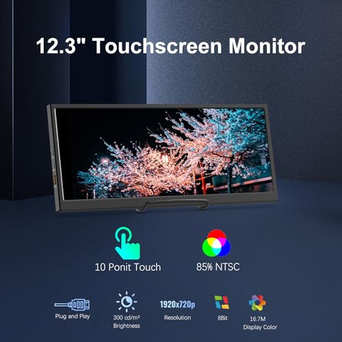 Portable 12.3" Touchscreen Monitor for Laptops