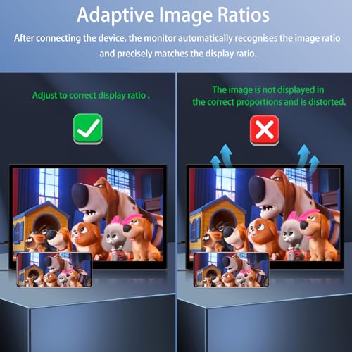 16" Portable Touchscreen Monitor with USB-C & HDMI