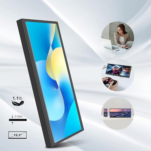 Portable 12.3" Touchscreen Monitor for Laptops