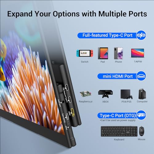 15.6'' 4K Touchscreen Portable Monitor - Ultra Slim