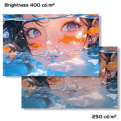 14" Touchscreen Portable Monitor with HDMI & USB-C