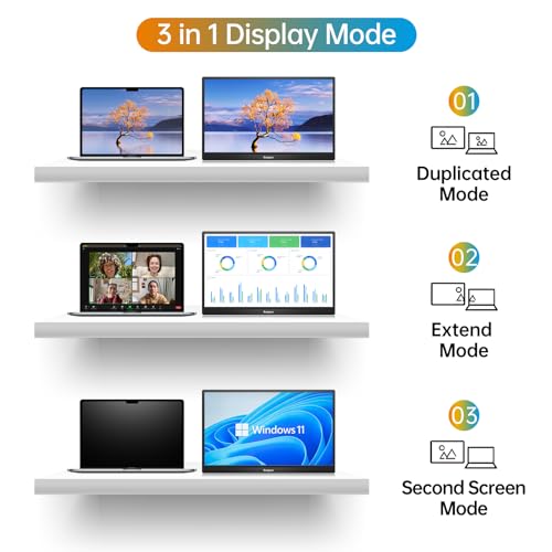 Anyuse 15.6" 1080P Portable Travel Monitor