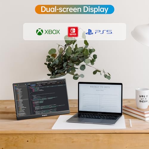 Anyuse 15.6" 1080P Portable Travel Monitor