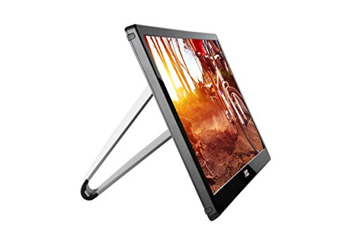 AOC 16-Inch Portable USB-Powered LED Monitor