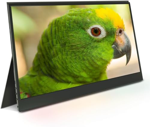 JREN 15.6" FHD Portable USB-C External Monitor