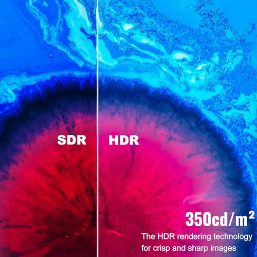 18.5" Touchscreen Portable Monitor with HDMI & USB C