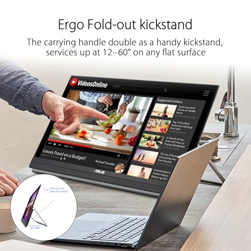 ASUS ZenScreen 22” Full HD Portable Monitor