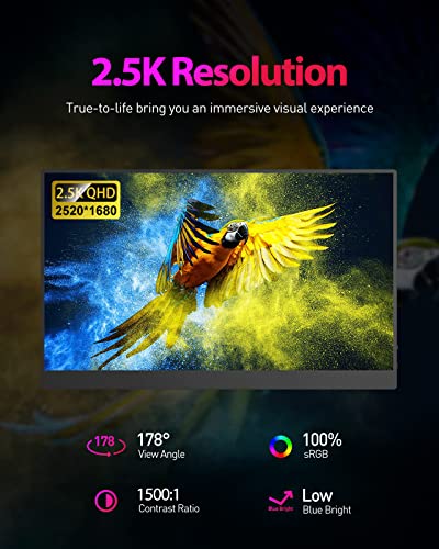 16" 2.5K Portable Monitor with USB-C & HDMI