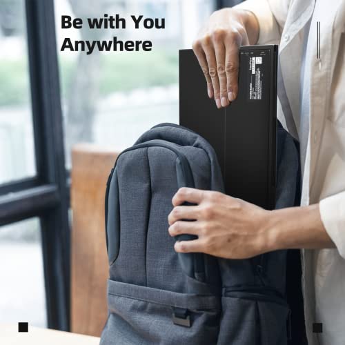 15.6" FHD Portable Monitor with Adjustable Stand