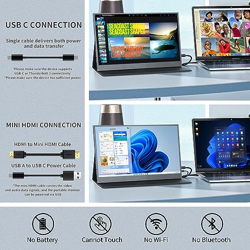 ReHisk 15.6" FHD Portable Travel Monitor