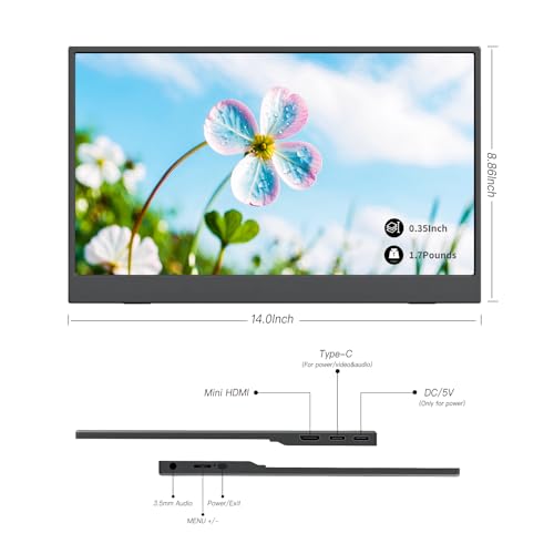 ReHisk 15.6" FHD Portable Travel Monitor