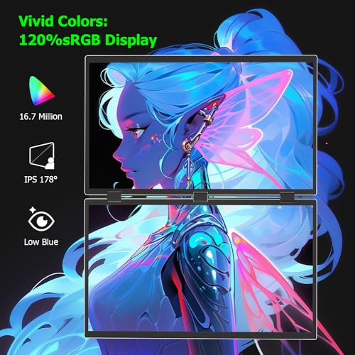 Portable 18.5" Dual 120Hz 1080P Monitor Extender