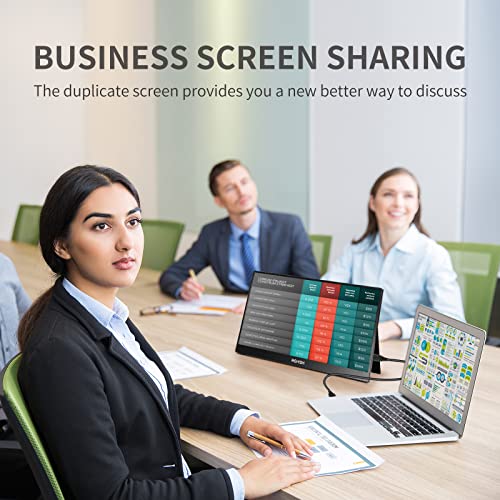 ReHisk 15.6" FHD Portable Travel Monitor