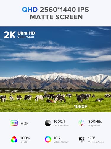 22" 2K Portable Gaming Monitor with Adjustable Stand