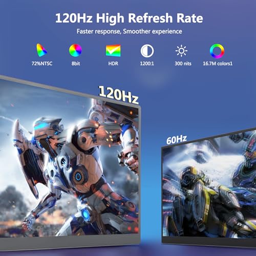 Ultra Slim 18.5" 120Hz Portable Monitor