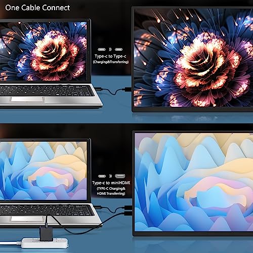 Ultra Slim 18.5" 120Hz Portable Monitor