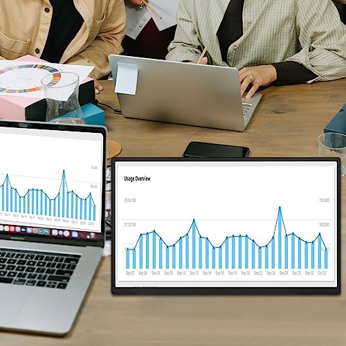 Ultra Slim 18.5" 120Hz Portable Monitor