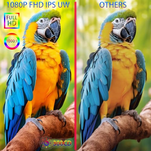 14" Dual Laptop Screen Extender Portable Monitor