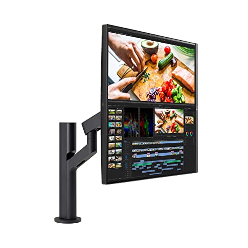 LG DualUp Nano IPS 28" Monitor with Ergo Stand