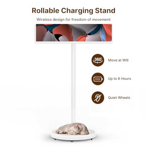 ApoloSign 24" 1080p Portable Touchscreen Monitor