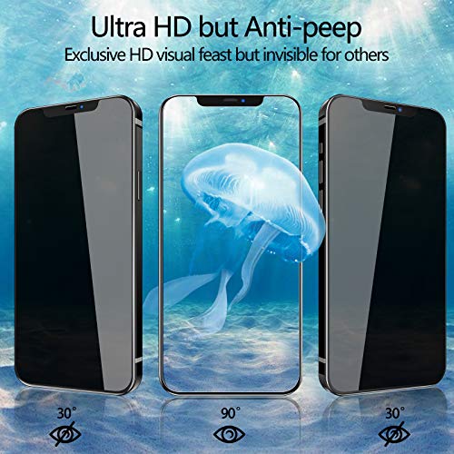3-Pack iPhone 12 Privacy Screen Protectors