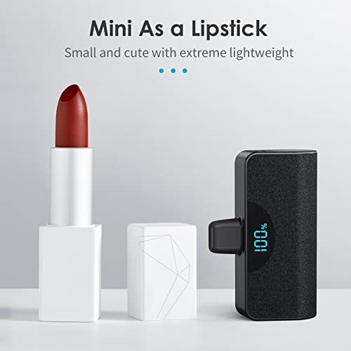 Compact 5200mAh Power Bank with Fast Charging