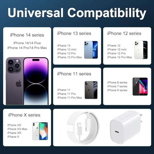 MFi Certified 10FT Lightning Fast Charger Kit