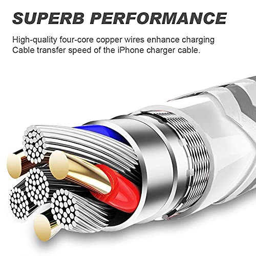 6-Pack Apple MFi Certified Lightning Cables 10ft