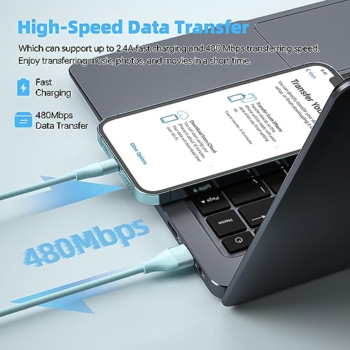 10FT MFi Lightning Charger Cable 3-Pack for iPhone