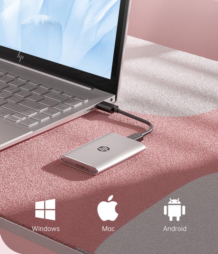 HP All-in-One Desktop Computer, 21.5" FHD Display, 16GB RAM, 512GB Storage (256GB SSD + 250GB External SSD), Intel Dual-Core Processor, Webcam, WiFi, HDMI, RJ-45, Windows 11 Pro