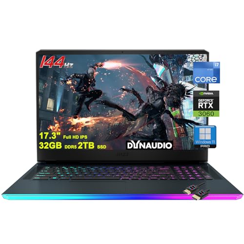 MSI GE76 Raider 17.3" Gaming Laptop - Intel i7