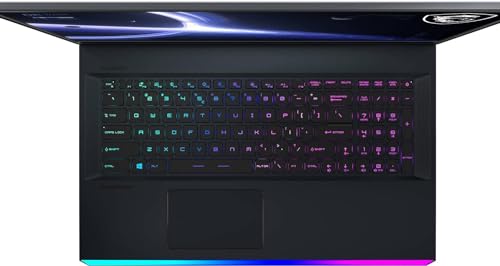 MSI GE76 Raider 17.3" Gaming Laptop RTX 3060