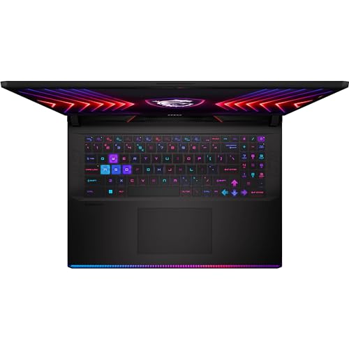 MSI Raider GE78HX 17" QHD Gaming Laptop