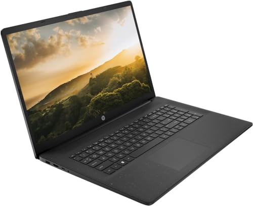 HP 17" Lightweight Laptop with AMD Ryzen 5