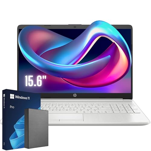 HP Pro Laptop: 20GB RAM, 1TB Storage, Win 11