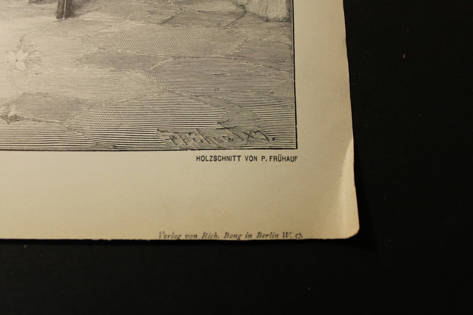 1800's Vintage Art Prints book by N. Attanasio