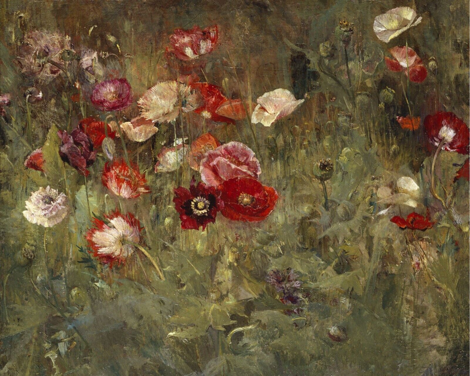 1800s Poppy Field Landscape Giclee Art Print
