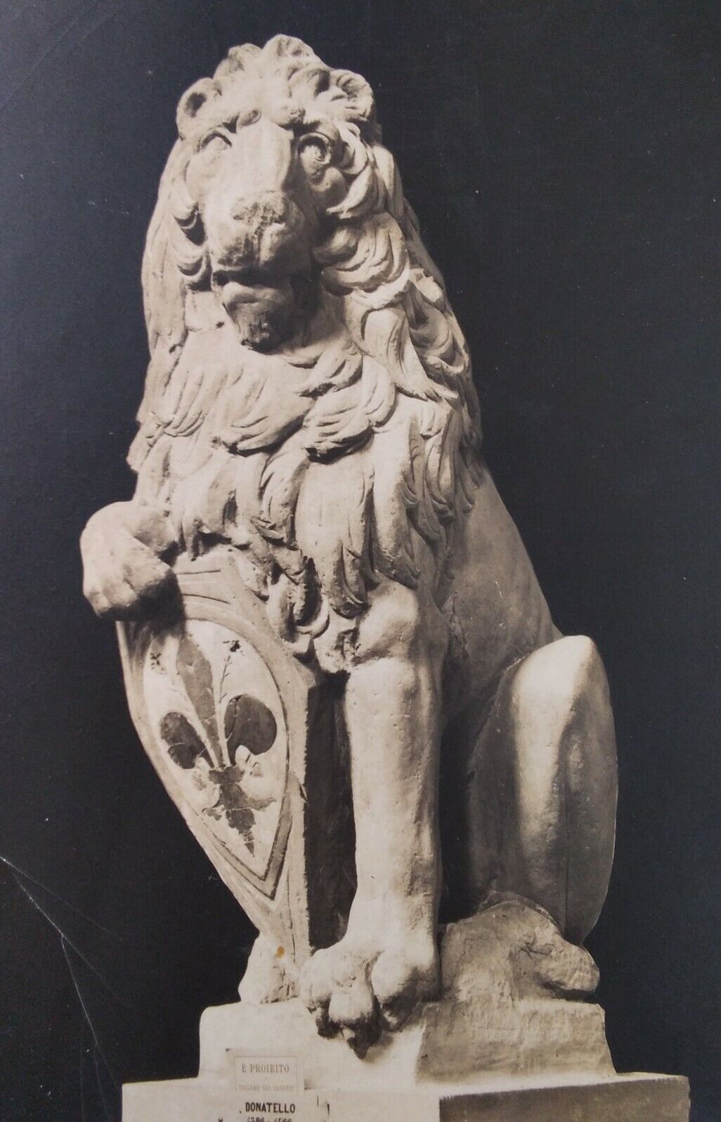 Antique Florence Italy Lion Sculpture Postcard Donatello Shield