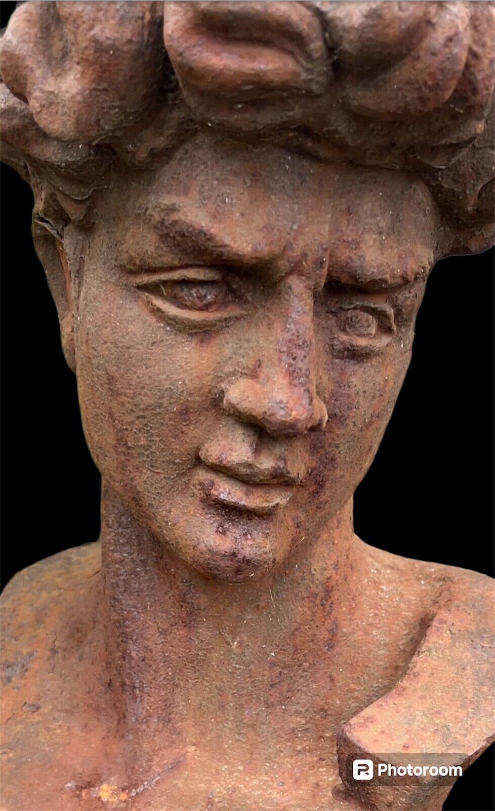 Antique Cast Iron David Bust Replica 1900s Garden Art