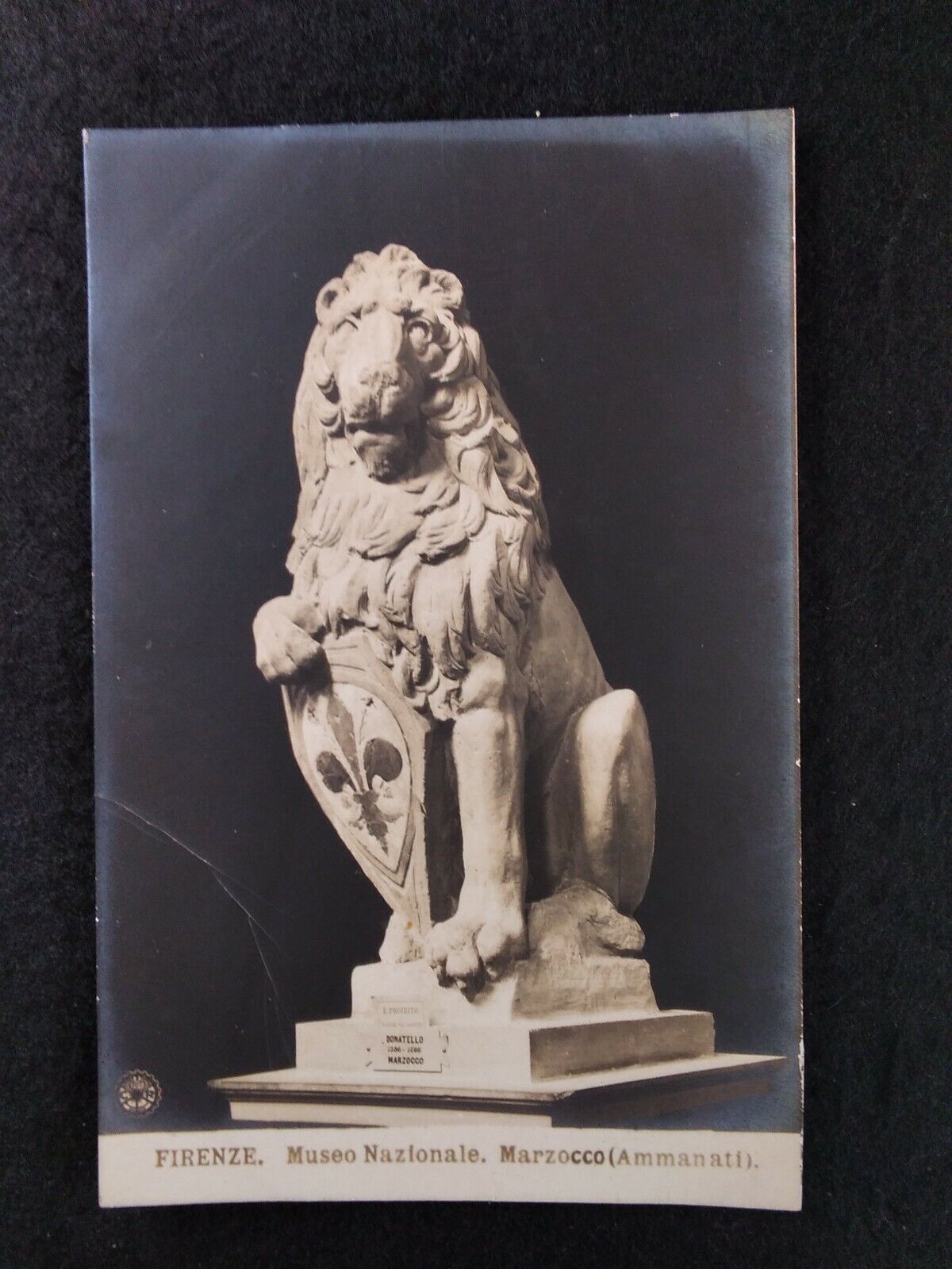 Antique Florence Italy Lion Sculpture Postcard Donatello Shield