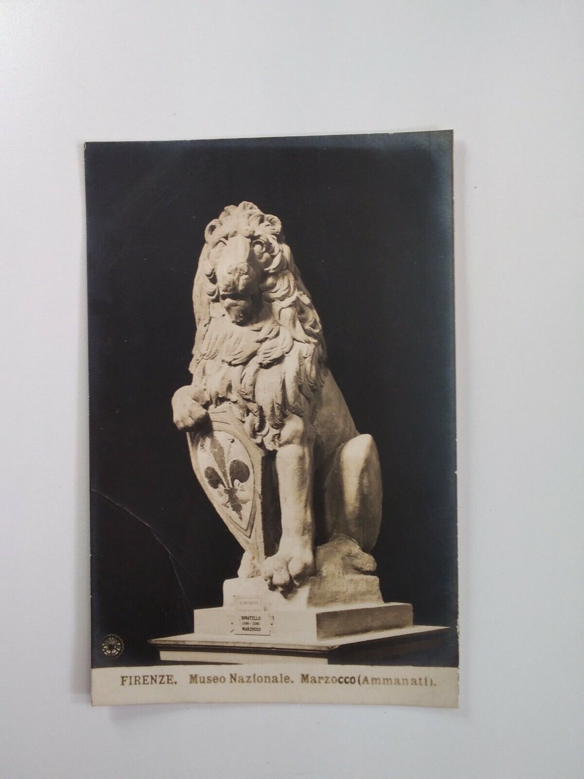 Antique Florence Italy Lion Sculpture Postcard Donatello Shield
