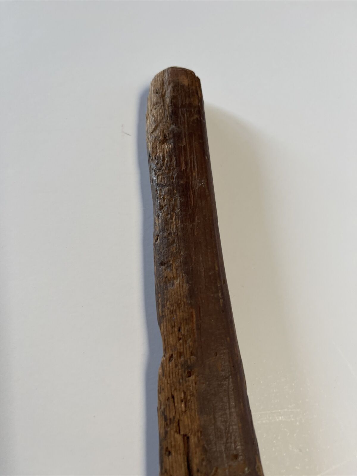 1733 July 8 Commemoration Stick Mystery Signed Sculpture