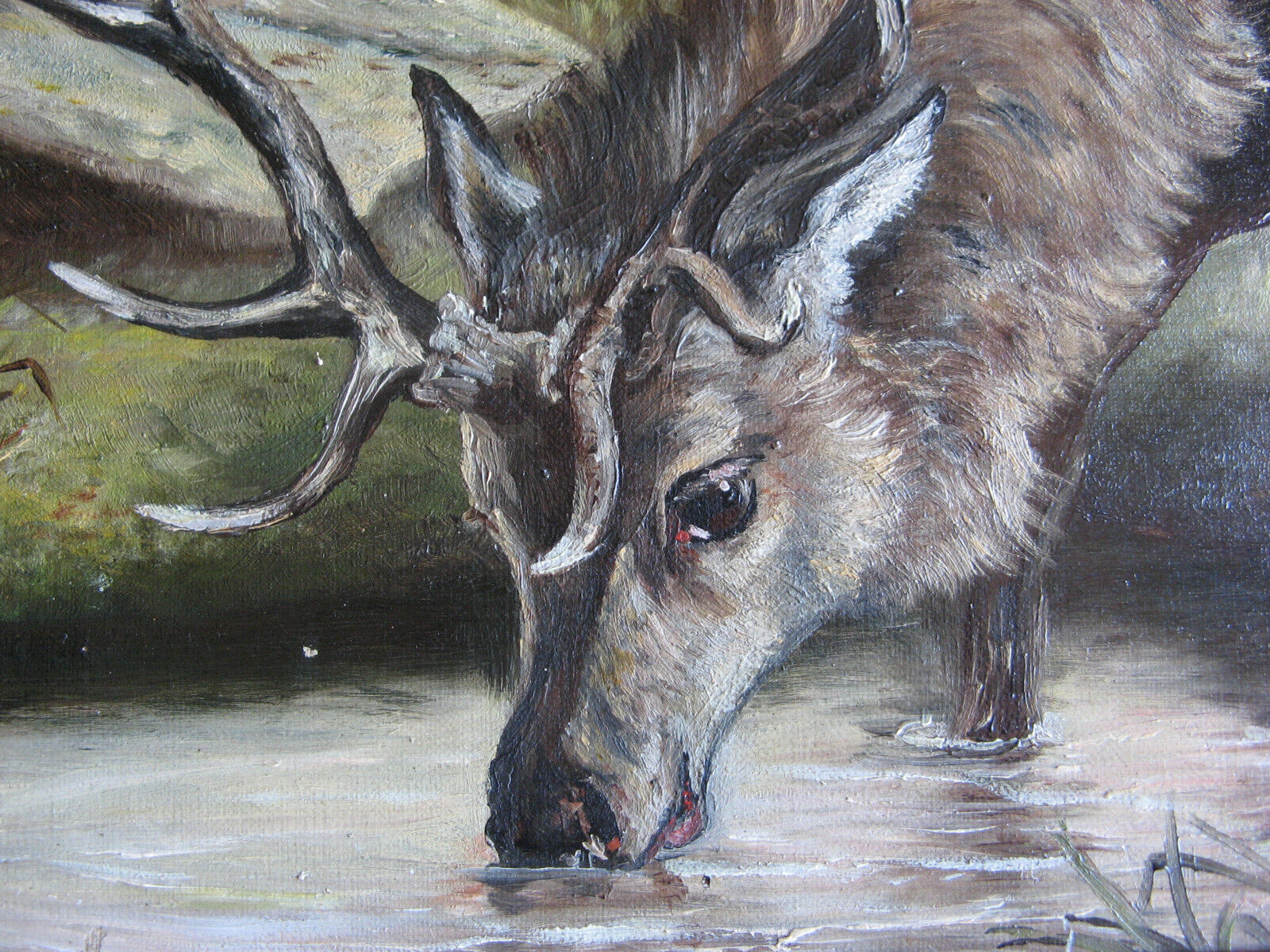 1900s Oil Painting: Elk & Ptarmigan, Three Sisters Mtns