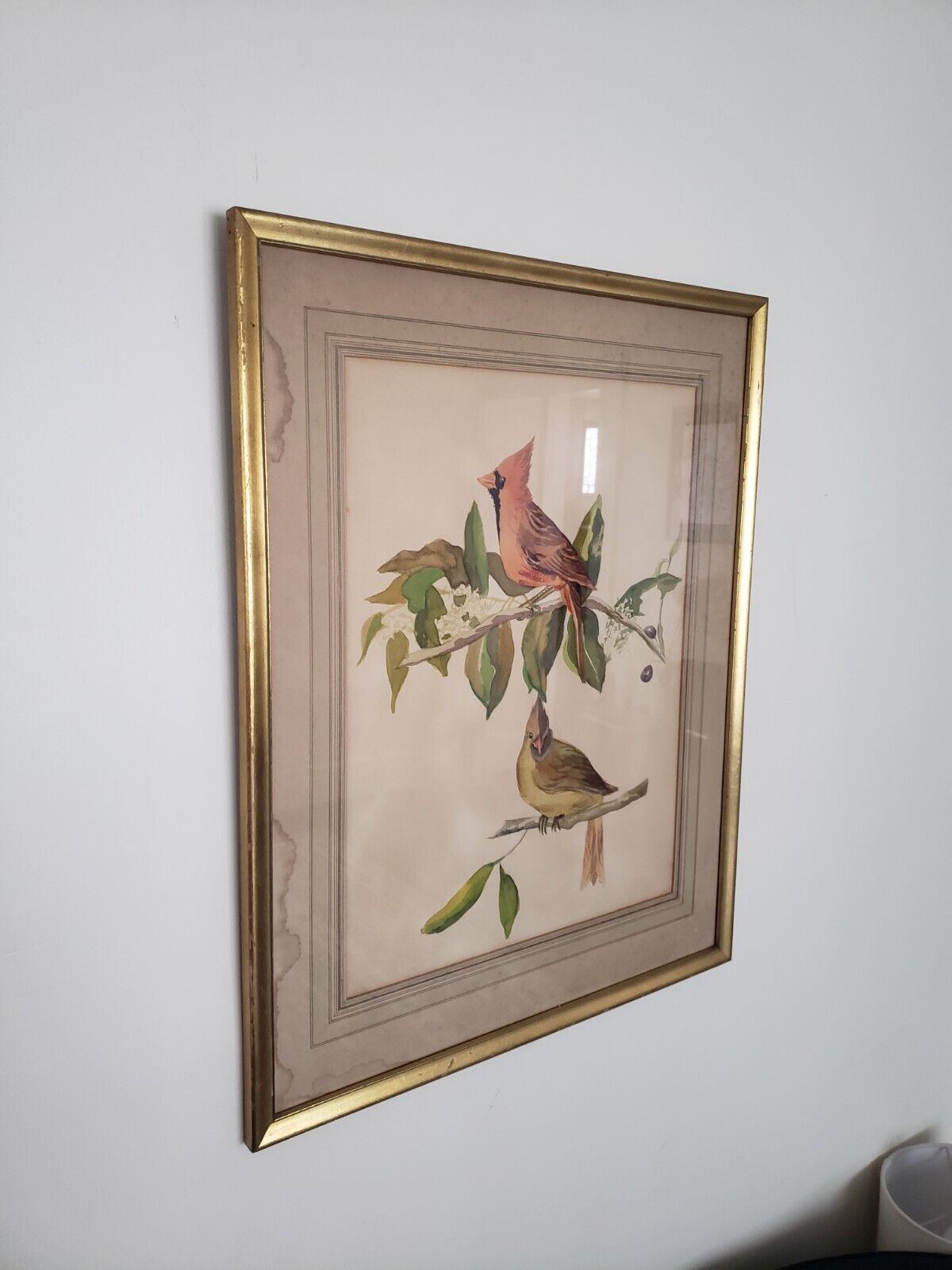1900s Watercolor Painting of Cardinal Bird - 21x27