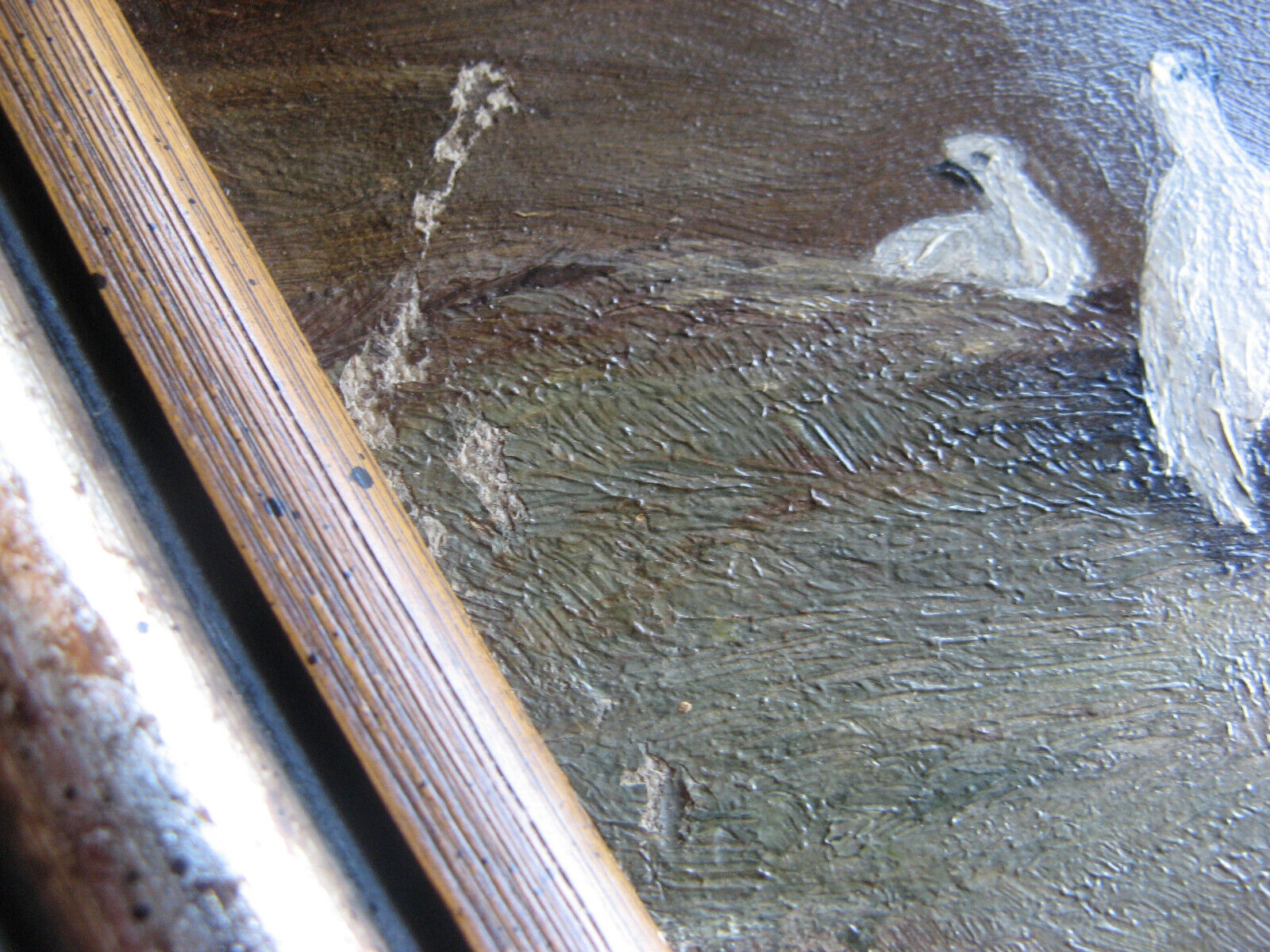 1900s Oil Painting: Elk & Ptarmigan, Three Sisters Mtns