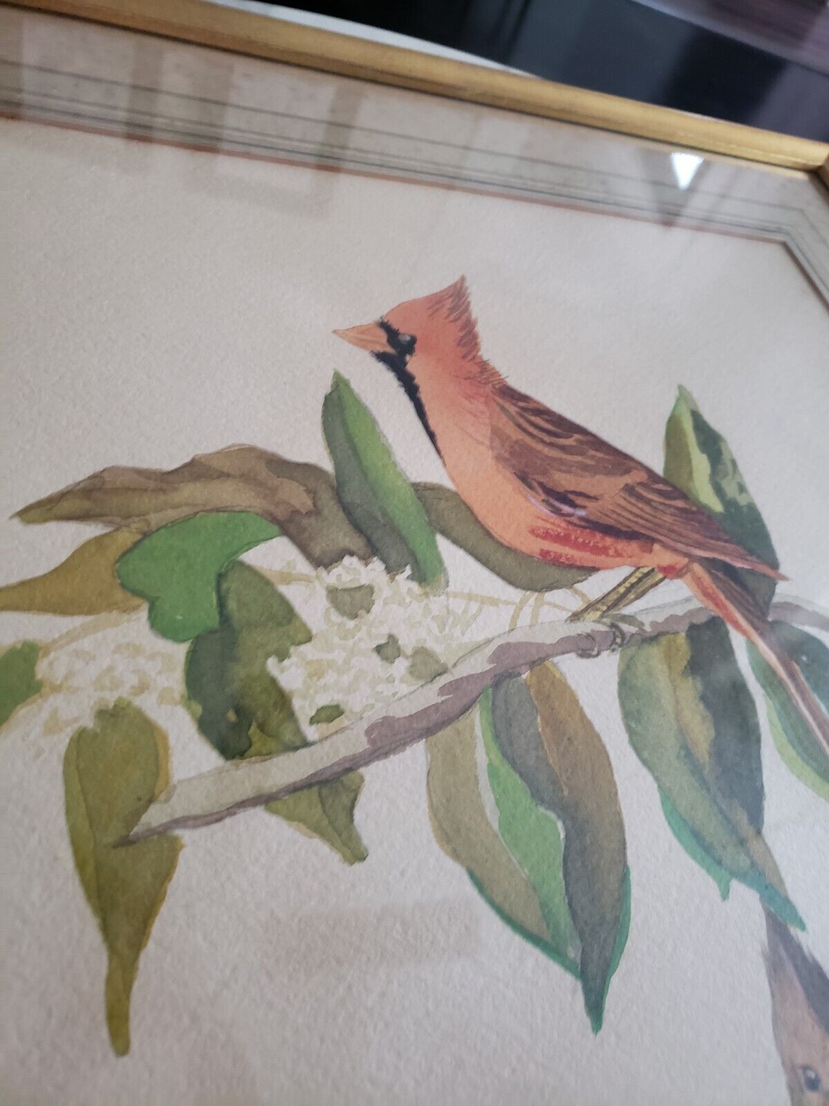 1900s Watercolor Painting of Cardinal Bird - 21x27